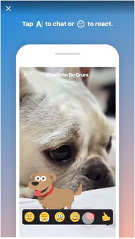 skype动态,重塑沟通新时代(图1)