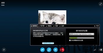 skype麦克风静音怎么回事,原因及解决方法(图3)