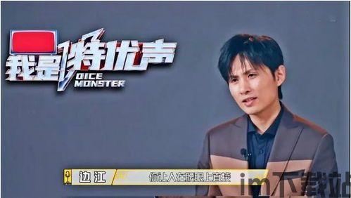 网易如何选配音演员,揭秘如何精挑细选配音演员(图2)