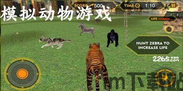 美国zoom动物游戏最新版 (图1)