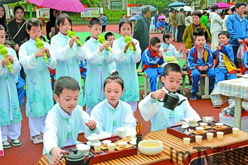 天启行动游戏下载安卓版 (图1)