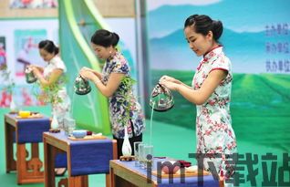 天启行动游戏下载安卓版 (图2)