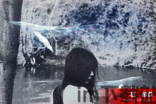 极乐视频免费观看视频 (图1) 极乐视频免费观看视频 (图1)