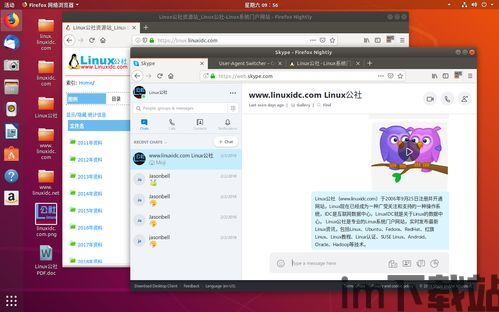 skype共享桌面投影,轻松实现远程协作新体验(图2)
