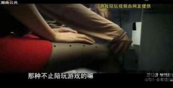 常德融媒 (图1)