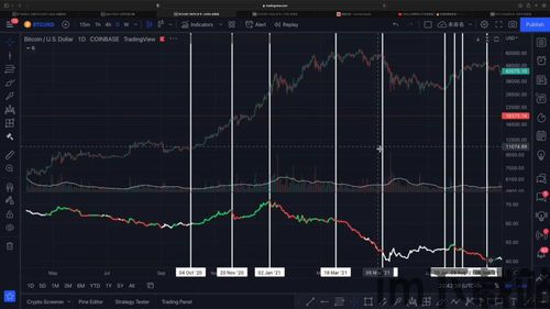 指标比特币交易指标全,深度解析关键交易指标全览(图2) 指标比特币交易指标全,深度解析关键交易指标全览(图2)