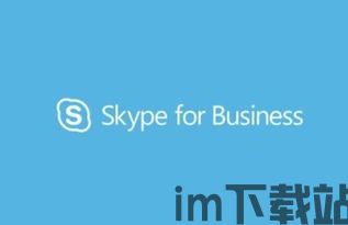 skype动词意思,跨越时空的沟通艺术(图2) skype动词意思,跨越时空的沟通艺术(图2)