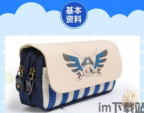 海盗帆布,探寻海洋冒险的传奇之旅(图1)