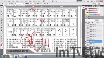 万能五笔输入法教程,轻松掌握高效打字技巧(图2)