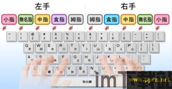 万能五笔输入法教程,轻松掌握高效打字技巧(图3)