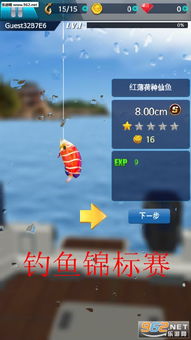 鲨鱼看书 (图3)