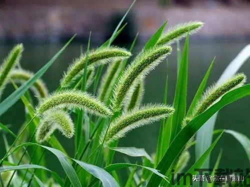 妖精的尾巴力量觉醒手游官网版 (图2)
