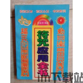 使用符咒的游戏,探索奇幻游戏世界的奥秘之旅(图2)