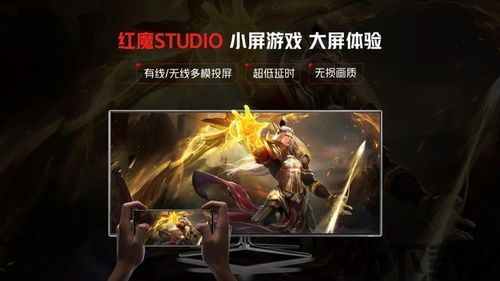 幸存者的黎明游戏官方版下载 (图3)