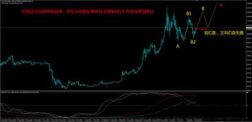 比特币疯狂走势行情图,揭秘数字货币市场的风云变幻(图1)