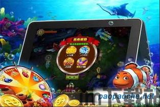 鲨鱼游戏交易 (图3)
