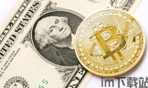 比特币发行时的数量,揭秘最初的2100万枚数字黄金(图3)