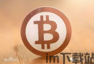 莆田比特币天才被抓,揭秘加密货币市场的法律风险(图2)