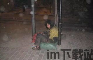 流浪之路职业,探寻职业流浪者的生存轨迹与心灵世界(图2)