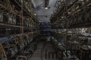 甘肃比特币矿场托管电费,甘肃比特币矿场电费成本解析(图2)