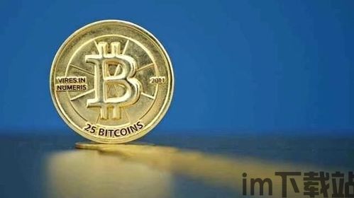 比特币的载体形式,比特币的载体形式与未来展望(图1)