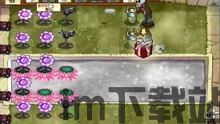 蚂蚁时代虫子战争 (图3)