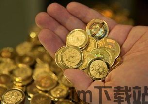 司法解释保护比特币,司法解释视角下比特币权益保护与合规路径探析(图3)