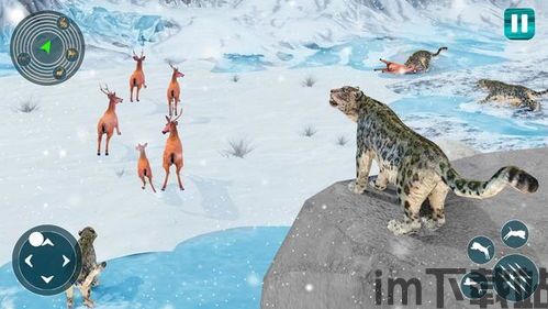 野生雪豹模拟器 (图1)