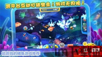 易来服务端极速版软件下载2024官方 (图1)