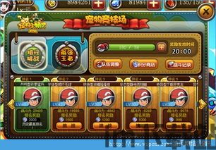 宠物小精灵 (图2) 宠物小精灵 (图2)