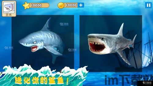 大白鲨加速器 (图2) 大白鲨加速器 (图2)