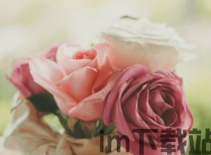 19楼女性阅读 (图1) 19楼女性阅读 (图1)