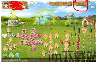 玫瑰小说 (图1) 玫瑰小说 (图1)