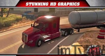 模拟驾驶卡车运货3d手游安卓版下载 (图3)