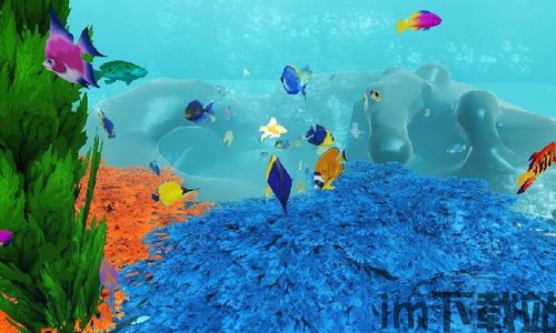 儿童宝宝海洋世界 (图2)